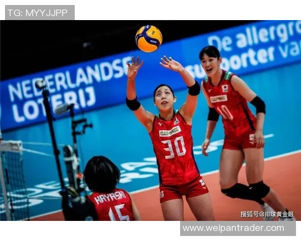 广州排球队节奏对比深度解析与战术探讨