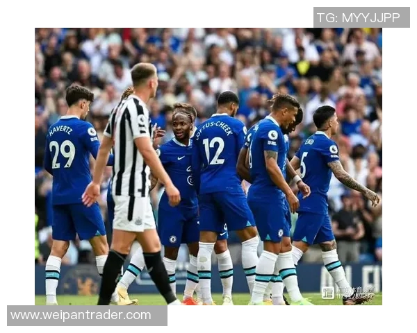 杭州乒乓球队状态引发热议球迷与专家观点大相径庭