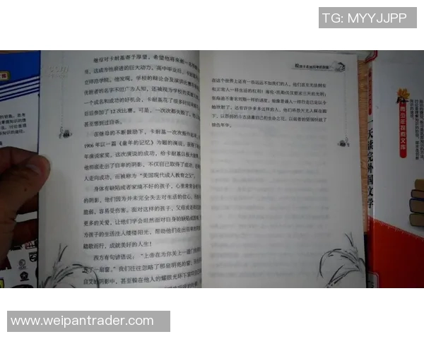 攀登人生的巅峰：赵秀英与深度对话的启示与反思