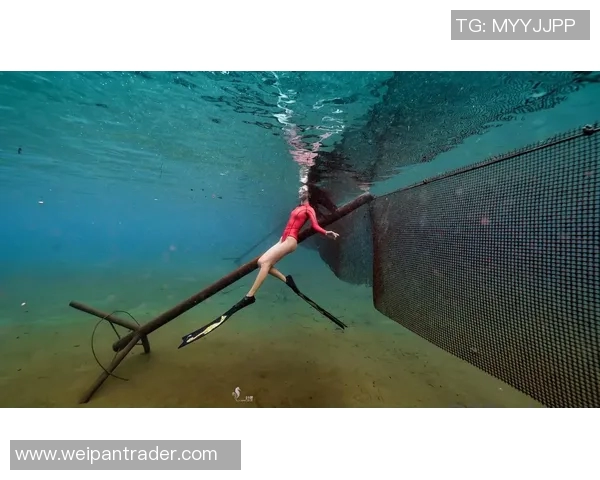 时尚与舒适兼具的潜水泳装设计，打造全新水下运动体验