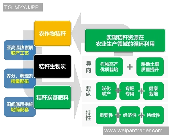 生物科技创新引领未来发展趋势探索与应用前景分析