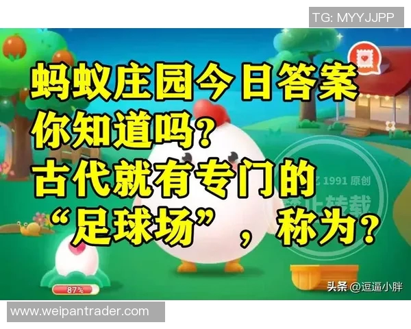 古人如何培养足球明星蚂蚁庄园的秘密与智慧探究